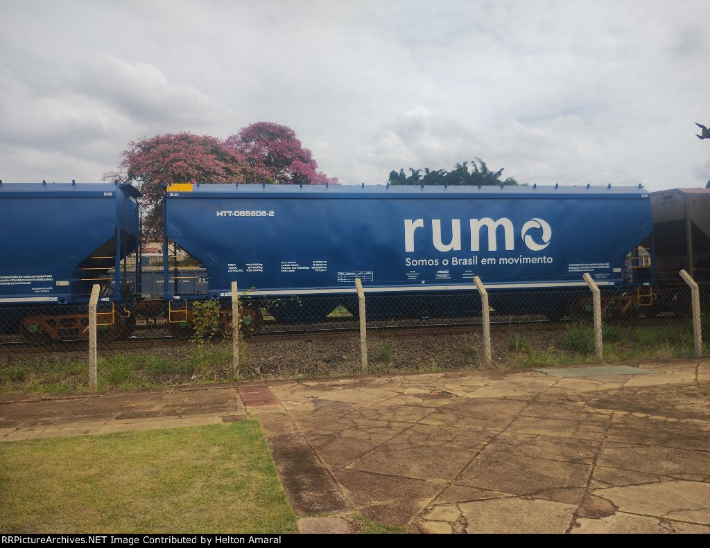 RUMO HTT-065606-2